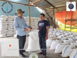 Tingkat Produksi Padi, Dinas TPH Tolitoli Sediakan Benih Unggul 30 Ton