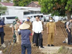 Tanam Jagung Bareng Jokowi dan Petani di Jeneponto, Plt Gubernur Harap Produksi Sulsel Topang Kebutuhan Nasional