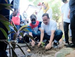 Sambut HUT Makassar 414  Sekretariat DPRD Kota Makassar Tanam Pohon di Bonto Makkio
