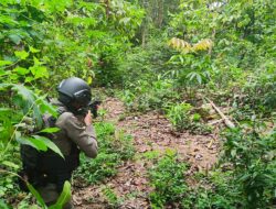 Latihan Jungle Warfare Asah Kemampuan Personel Brimob Bone
