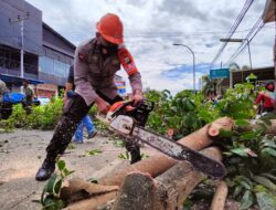 Utamakan Keselamatan Warga, Brimob Bone Tebang Pohon di Sepanjang Jalan M.H. Thamrin