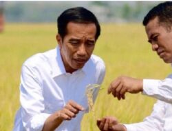 Mantan Menteri Pertanian AAS akan Hadiri Dies Natalis ke 59 AMKOP Business School STIE AMKOP