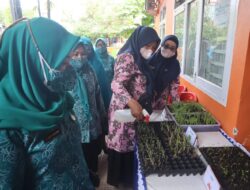 Ketua TP PKK Kecamatan Panakkukang Turun Langsung Dalam Penilaian 10 Program Pokok TP PKK Kelurahan se-Kecamatan Panakkukang