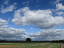 Besok Siang Kota Makassar Kembali Berawan