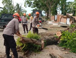 Kembali Beraksi, Tim SAR Brimob Bone Tebang Pohon Lapuk Yang Bahayakan Warga