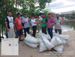 DKP Sulsel Salurkan Bantuan Benur Udang di Kabupaten Maros, Prioritas Gubernur Andi Sudirman Kembalikan Kejayaan Udang Sitto