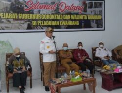 256 Ekor Sapi Dikirim Ke Tarakan, Penjagub Hamka; Diharapkan Bisa Menggerakkan Ekonomi Masyarakat