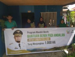 Dapat Benih Gratis oleh Pemprov Sulsel, Petani Luwu : Terima Kasih, Gubernurku, Andalanku