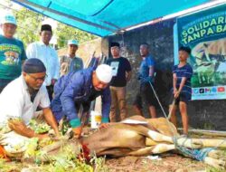 NU Kota Makassar Melalui Laziznu Sembelih 9 Ekor Sapi dan 5 Ekor Kambing Qurban