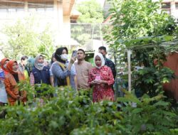 Tinjau Lorong Wisata di Jalan Sungai Pareman, Wakil Wali Kota Pastikan Kebutuhan Kelompok Tani Terpenuhi