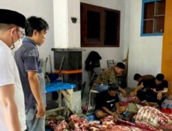 Idul Adha, Bapenda Makassar Kurban Delapan Ekor Sapi