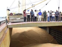 Keran Ekspor Jagung Dibuka, Gorontalo Kirim 6.100 Ton ke Filipina