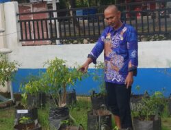 Gertac Sehati, Terobosan Kadis Ketahanan Pangan Pangkep Tekan Inflasi