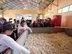 UPTD Pengelolaan Sutera Wajo Diresmikan Gubernur Sulsel, Pelaku Usaha Optimis Kejayaan Industri Sutera Bangkit