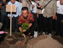 Kembalikan Kejayaan Jeruk Selayar, Gubernur Sulsel Tanam Bibit Jeruk Keprok yang ke-100 Ribu