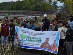 DKP Sulsel Bersama Masyarakat Pelestari Lingkungan Tanam 40 Ribu Batang Mangrove di Pesisir Wajo