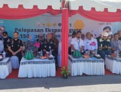 Perdana di Tahun 2023, 6.150 Jagung Sulsel Diekspor ke Filipina Senilai Rp 30,43 M