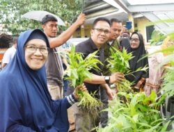 Panen Perdana Kelompok Wanita Tani, Camat Rappocini : Dukung Program Lorong Wisata