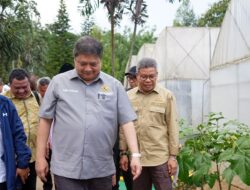 Taufan Pawe Dampingi Airlangga Hartarto dan Agus Gumiwang Kunker ke PT Vale Sorowako