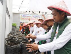 Kendalikan Angka Inflasi di Makassar, Sekcam Rappocini Hadiri Launching Program Menanam Satu Juta Polybag