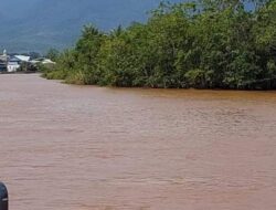 Aliansi Pemuda Pemerhati Lingkungan Minta Pemkab Lutim Serius Tangani Kasus PT CLM