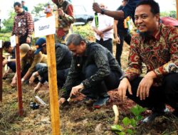 Didampingi Bupati, Wabup dan Forkopimda, Gubernur Sulsel Lakukan Penanaman Murbei di Wajo