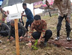 Kembalikan Kejayaan Sutera, Gubernur Andi Sudirman Kembali Tanam 1 Juta Bibit Murbei di Wajo