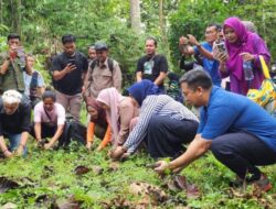Sekdaprov Gorontalo, Pemda Bone Bolango, Sekjen GGN dan Bappenas Lepas Burung Maleo di Wsata Lombongo