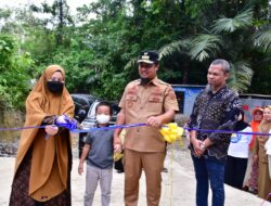 Gubernur Sulsel Resmikan Embung Agrowisata Pallae, Aliri Persawahan Warga Sekaligus Lokasi Wisata