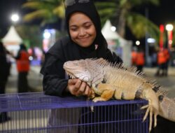 Makassar F8 Sajikan Pengalaman Belajar tentang Fauna yang Menginspirasi