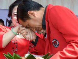 DPI : Megawati dan Jokowi Jangan Strategi Pura – Pura