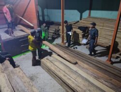 Gakkum KLHK Wilayah Sulawesi Amankan 3 Industri Pengolahan Kayu Ilegal di Kabupaten Mamuju