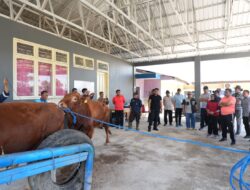Kunjungan ke Pucak Maros, Pj Gubernur Bahtiar Dorong Inseminasi Buatan Tingkatkan Populasi Ternak
