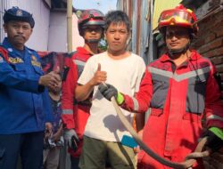 Damkar Makassar Bantu Evakuasi Ular di Pemukiman Warga Jalan Sukaria 18