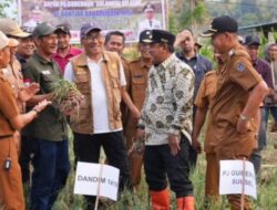 Panen Berkurang Pada Saat El Nino, Ini yang Dilakukan Pemprov Sulsel