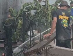 Sigap Selalu, Damkar Makassar Kembali Padamkan Api di Jalan Kangkung Timur