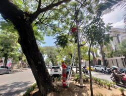 PLN & Icon Plus Lakukan Perapihan Kabel Fiber Optic untuk Keamanan dan Kualitas Layanan