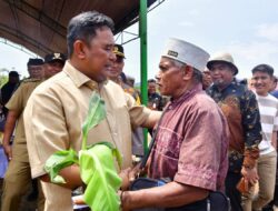 Tanam Perdana Pisang Cavendish di Lutim, Petani Terharu Terima Bantuan Bibit