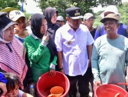 Kreativitas Petani Desa Buae Sidrap, Tanam Pisang Cavendish Tumpang Sari dengan Kacang Tanah