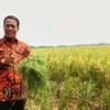 Mentan Amran Banjir Ucapan Selamat Ulang Tahun, Mulai dari Presiden Terpilih RI Prabowo Subianto, Kapolri RI Hingga Rektor Unhas