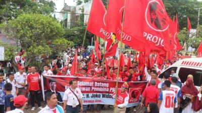 Projo Sulsel: Pergantian Pj Gubernur Kewenangan Presiden