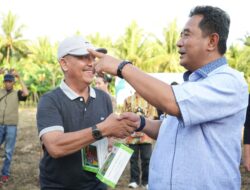 Berkunjung ke Desa Beru-beru, Pj Gubernur Sulbar Sosialisasikan Program Budidaya Pisang Cavendish, Masyarakat Antusias