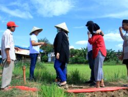 Rusdin Abdullah Bertemu  Petani di Makassar, Semua Dijawab Tuntas dan Langsung Beri Solusi