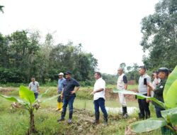 Pj Bahtiar Dorong Warga Sulbar Menanam Hortikultura dalam Bentuk Massal