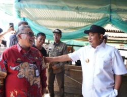 OPD Sulbar Studi Karya Inovasi Peternakan Hewan di Barru, “Ada Intervensi Dinas Peternakan”