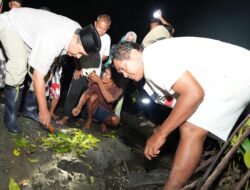 Tebar Kepiting Bakau di Hutan Bakau Sumare, Warga Apresiasi dan Dukung Program Pj Bahtiar