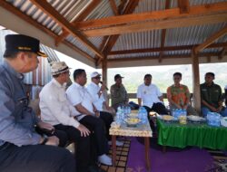 Berkunjung ke Kawasan Nenas Barru, Pj Bahtiar Yakin Sulbar Dapat Menjadi Provinsi Mandiri Bidang Hortikultura