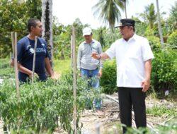 Temui Petani Sampaga, Pj Bahtiar Dorong Sulbar Miliki Brand Sendiri atas Produk Perkebunan