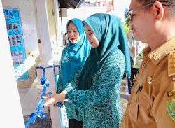 Lokus Terakhir Penilaian Lomba Desa dan Kelurahan, Dokter Ulfah dan Tim Kunjungi Kecamatan Mallusetasi