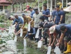 DKP Prov Sulbar Sudah Membagi 1,5 Juta Bibit Ikan Nila Kepada Warga Sulbar